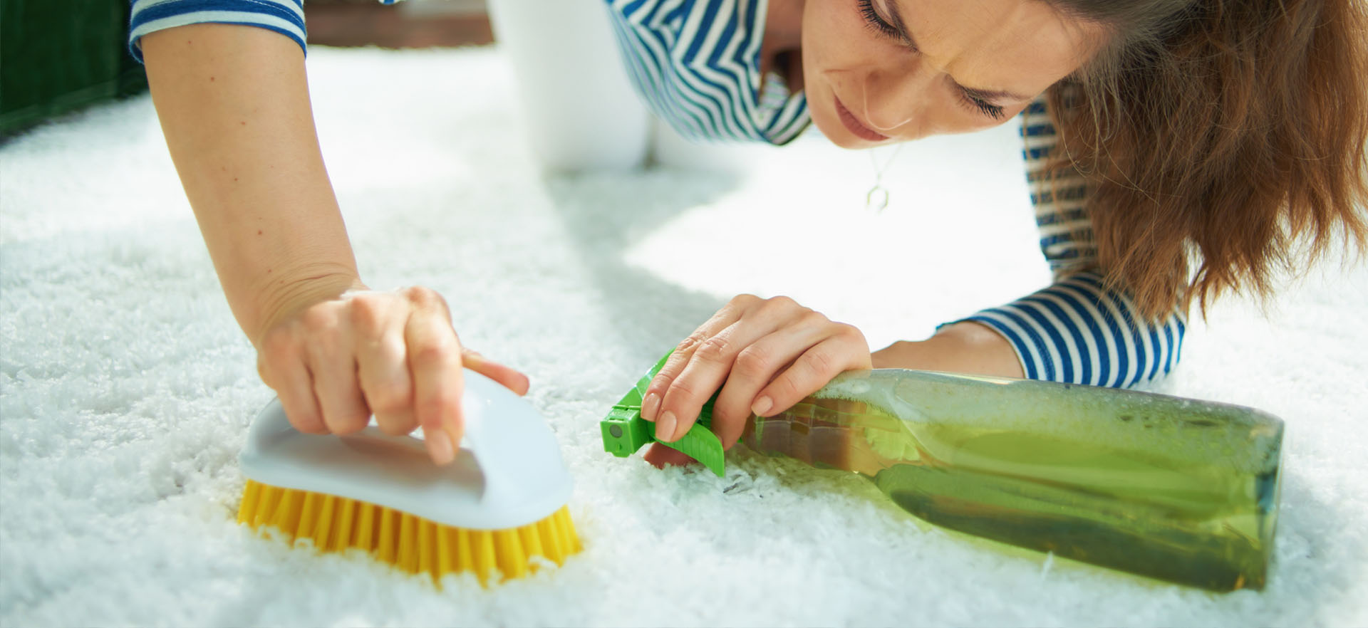 R & Z Syosset Carpet Cleaning - header